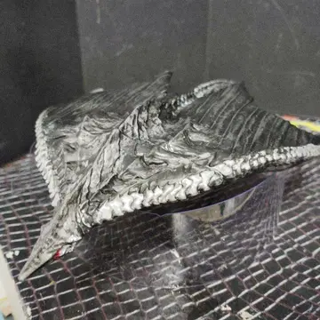 가메라 괴수 지그라 (리얼 모델 No. 2920fi)