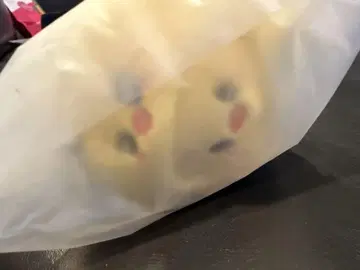 보카리 포가리 필릭스 봉제 인형 키링