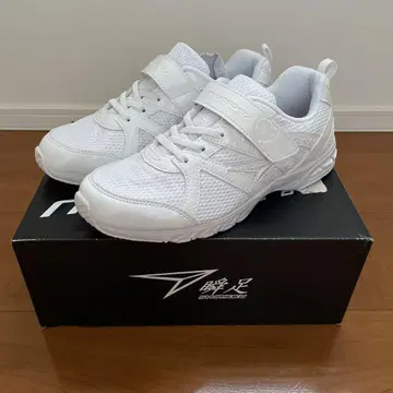순족 23.5cm