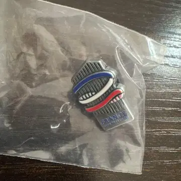 오사카 만박 프랑스관 핑 배치