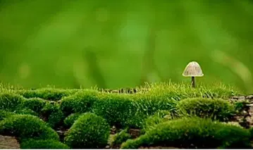 연락용입니다.