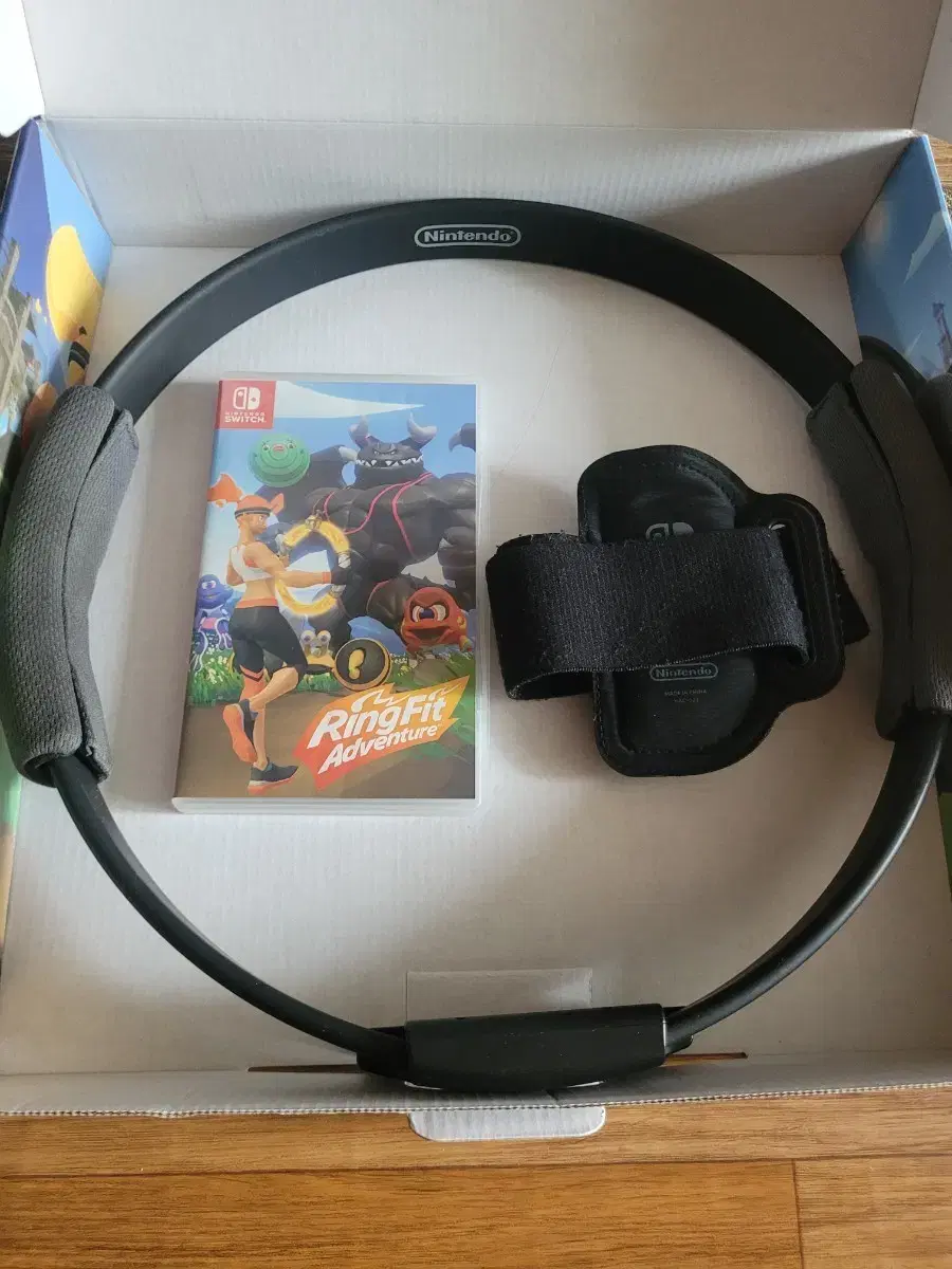 Nintendo Switch Ring Fit