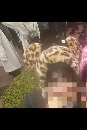 미니 팬 레오파드 무늬 캡