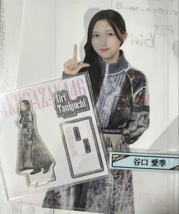 사쿠라자카 제일복권 타니구치 아이리 3종 세트