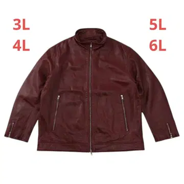 테토옴므 TETE HOMME 스탠드 카라 가죽 블루종 6da