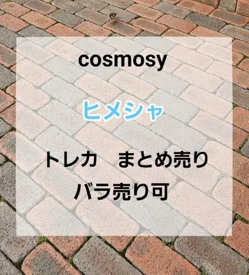 cosmosy 히메샤 트레이딩 카드