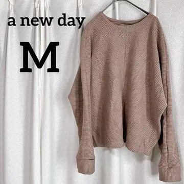 a new day [ M 사이즈 ] 브라운 리브 긴팔 스웨터 루즈핏