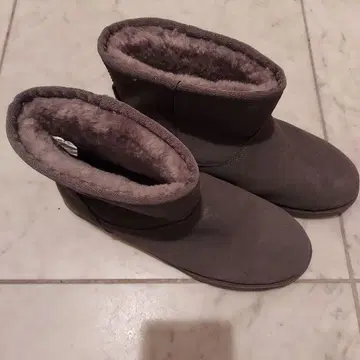 EMU 호주