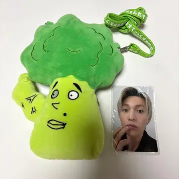 야기 유세이 멘프로 야기코리