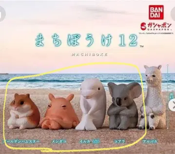 [ 새상품 ] 기다림 12 캡슐 토이 피규어 6개 세트