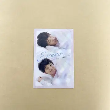 요시모토 코레카 6th Edition 에버스 사사키 오하요 카드