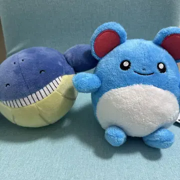 포켓몬 2체 세트