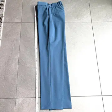 theory luxe 여성 팬츠
