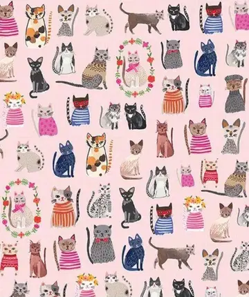 고양이 굿즈 묶음 판매