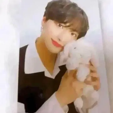 성화 트레이딩 카드