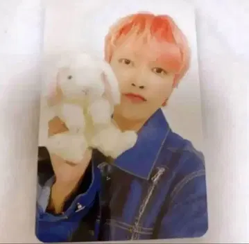홍준 트레이딩 카드