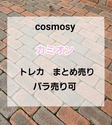 cosmosy 카미온 트레이딩 카드