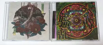 노로이 미코 CD 2장 세트