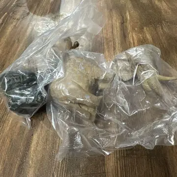 하시모토 미오의 브레멘 음악대 조각해봤다. 가챠 맹수 음악대