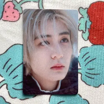 BOYNEXTDOOR JAPAN KCON 이한 한정판 트레이딩 카드