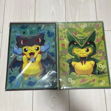 메가 판초를 입은 피카츄 클리어 파일 16장 세트