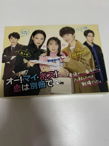 오! 마이 보스! 사랑은 별책으로 DVD