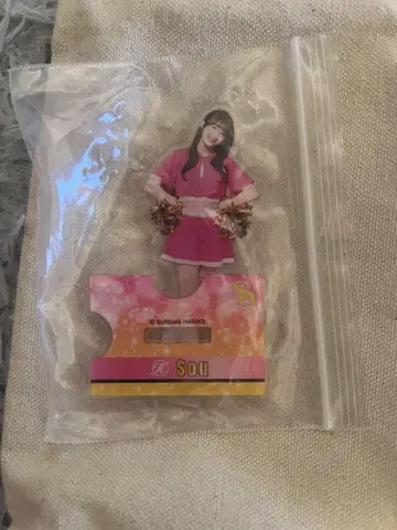 호크스 와카타카 가챠 허니즈 Sou