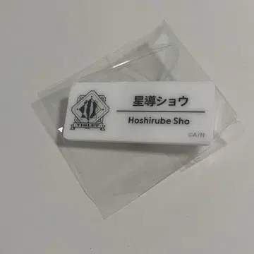 호시미치 쇼 네임 배지 니지페스 2025 A 그룹