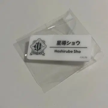 호시미치 쇼 네임 배지 니지페스 2025 A 그룹