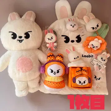 straykids 스키즈 리노 리비트 굿즈 묶음 판매
