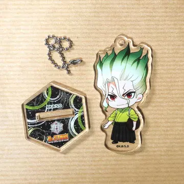 Dr.STONE 이시가미 센쿠