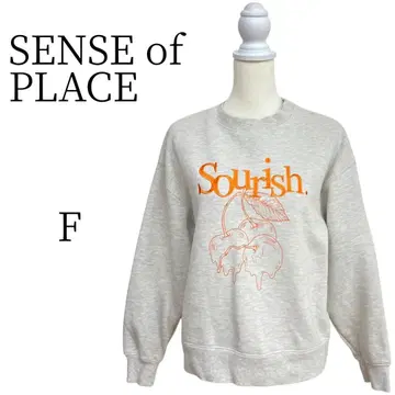 SENSE of PLACE 그레이 오렌지 긴팔 트레이닝복 맨투맨 F