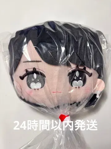 사사키 마이카 페이스 패스 케이스 모리 판타지 한정판