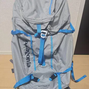 Patagonia 백팩 그레이