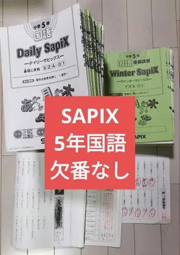 SAPIX 5학년 국어 텍스트 결번 없음