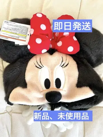 디즈니 미니 팬캡