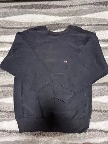 Champion Reverse Weave 트레이닝복 XL