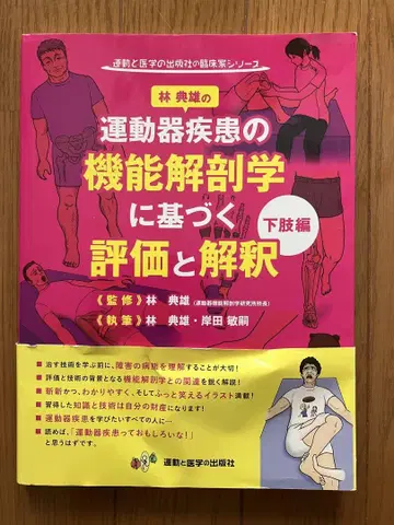 운동기 질환의 기능 해부학 하지편