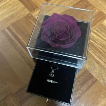 니지산지 후와 미나토 준브라