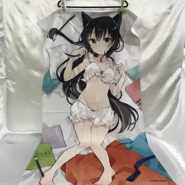 C90 우라라 미로첩 이즈미나카쥬츠 외출 세트