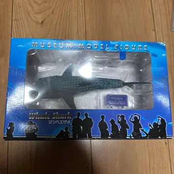 Whale Shark Museum Model 츄라우미 수족관 오리지널