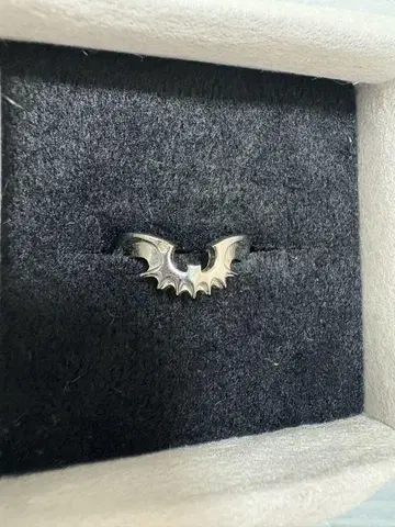 앙상블 스타즈 앙스타 오오가미 코가 반지