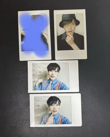 팬더 드래곤 파라곤 타이거 폴라로이드