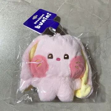 New Jeans 뉴진스 bunini TOKKI 핑크 마스코트