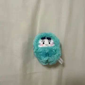 나나마츠 코헤이타 타피누이