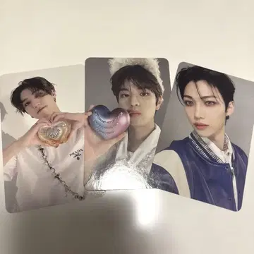 스키즈 maxident 트레이딩 카드