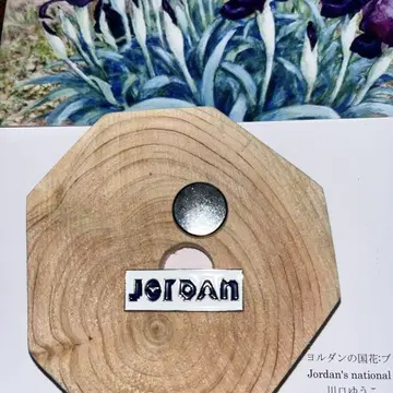 요르단 핑 배지 초레어