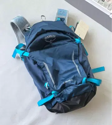 OSPREY HIKELITE 26L 백팩