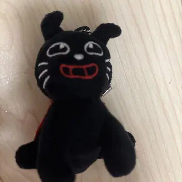 키요고양이