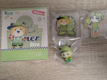 컬러풀피치 시바님